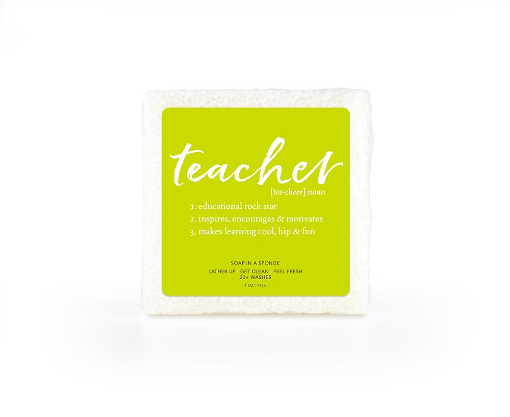 TEACHER SQUARE Shower Sponge - (Seaside)