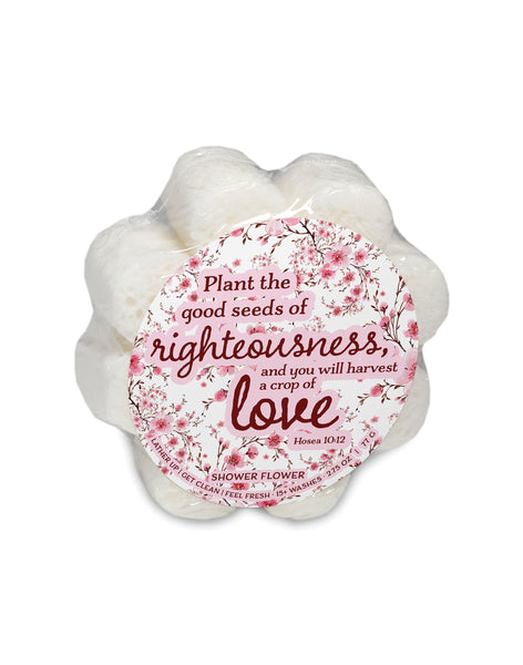 plant the good seeds of righteousness Plant the Good Seeds Shower Sponge White – CAREN
